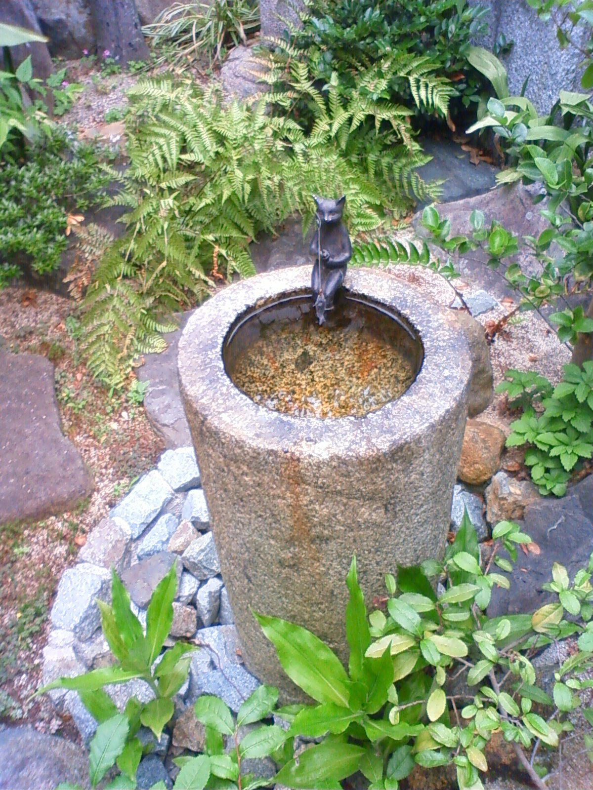 NEC_2343.JPG