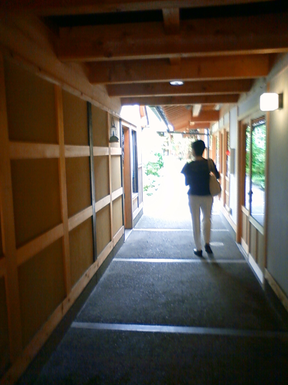 NEC_2345.JPG