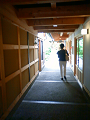 NEC_2345_thumb.png