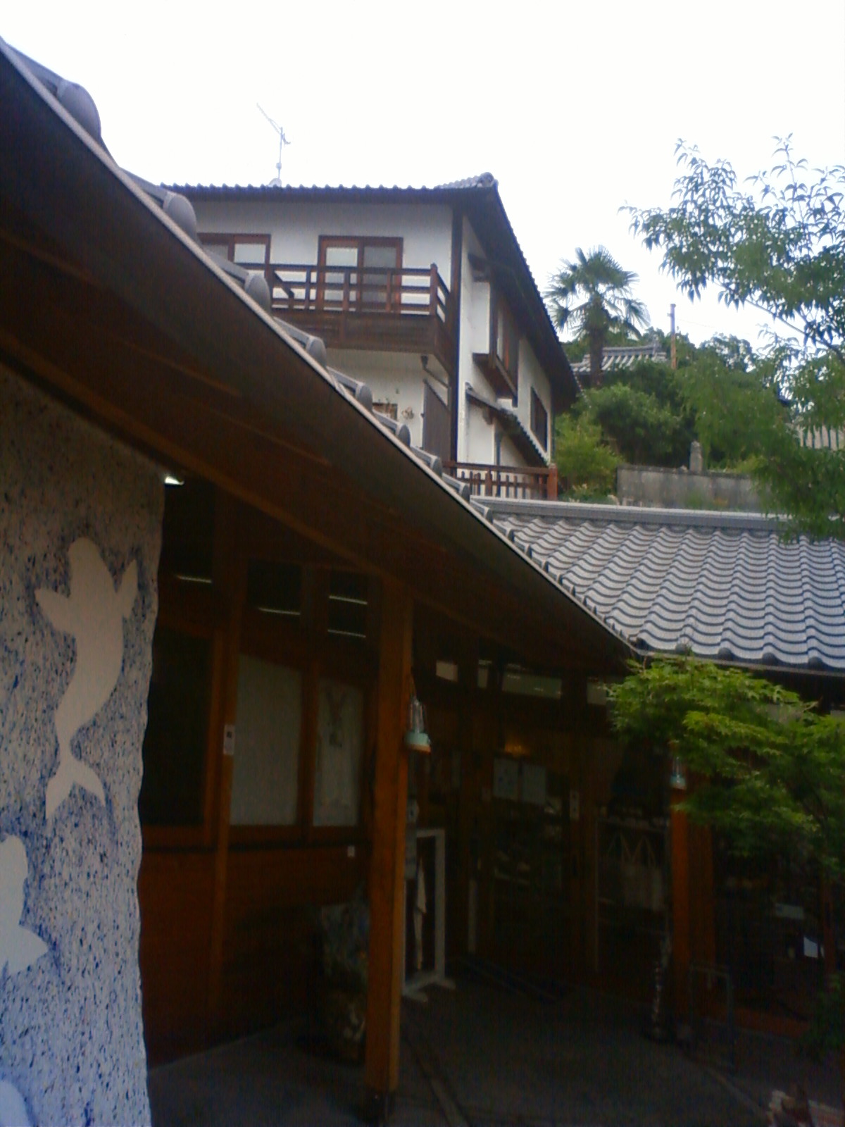 NEC_2347.JPG