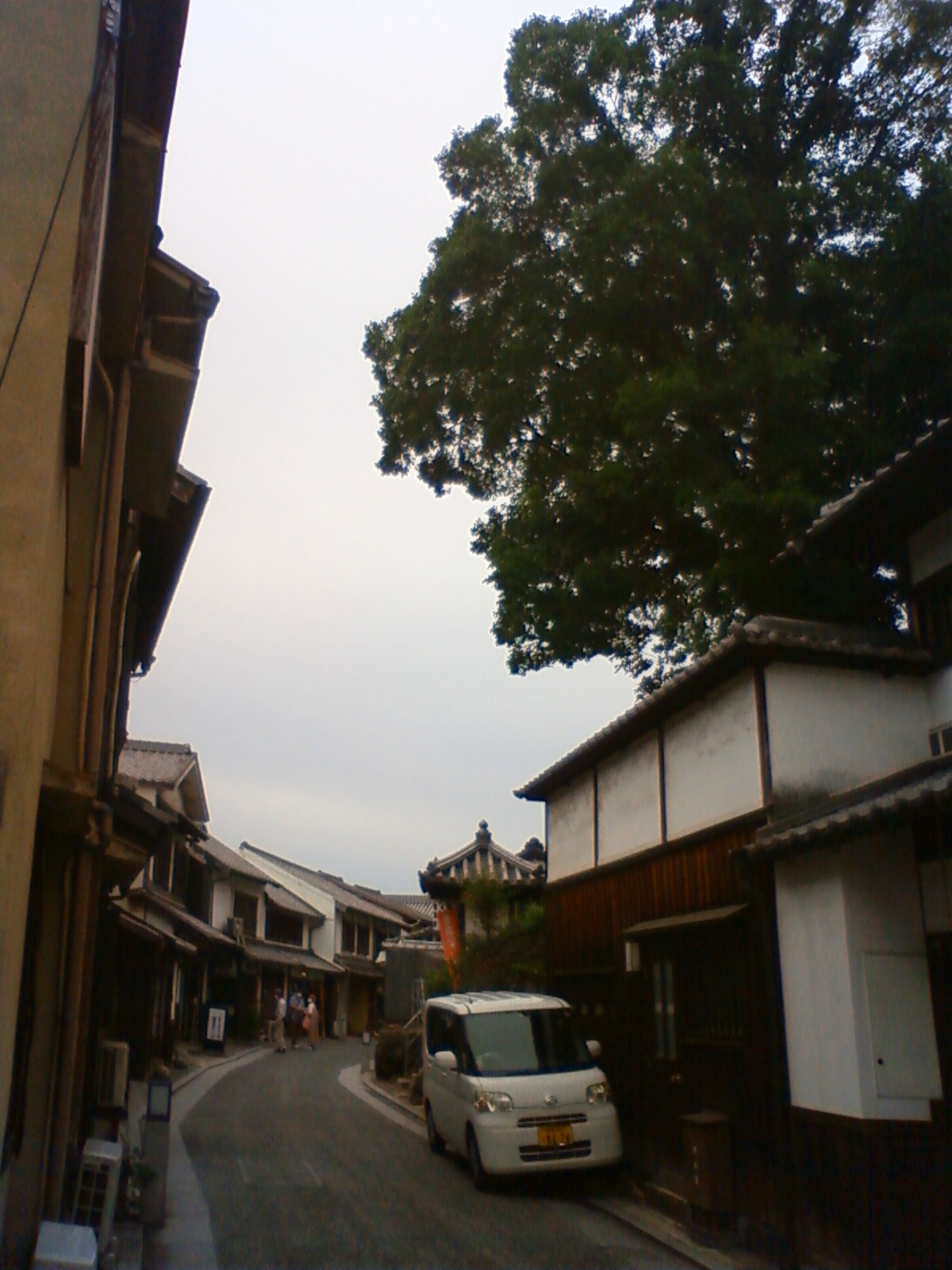 NEC_2354.JPG