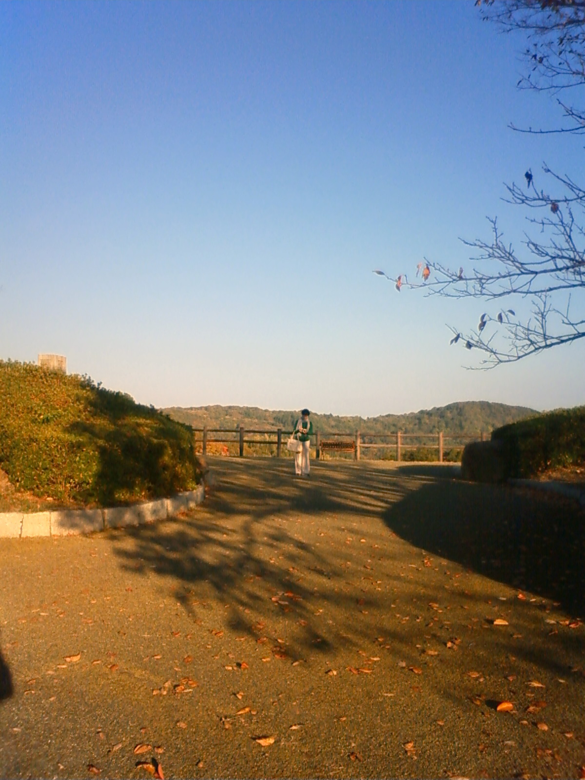 NEC_2578.JPG