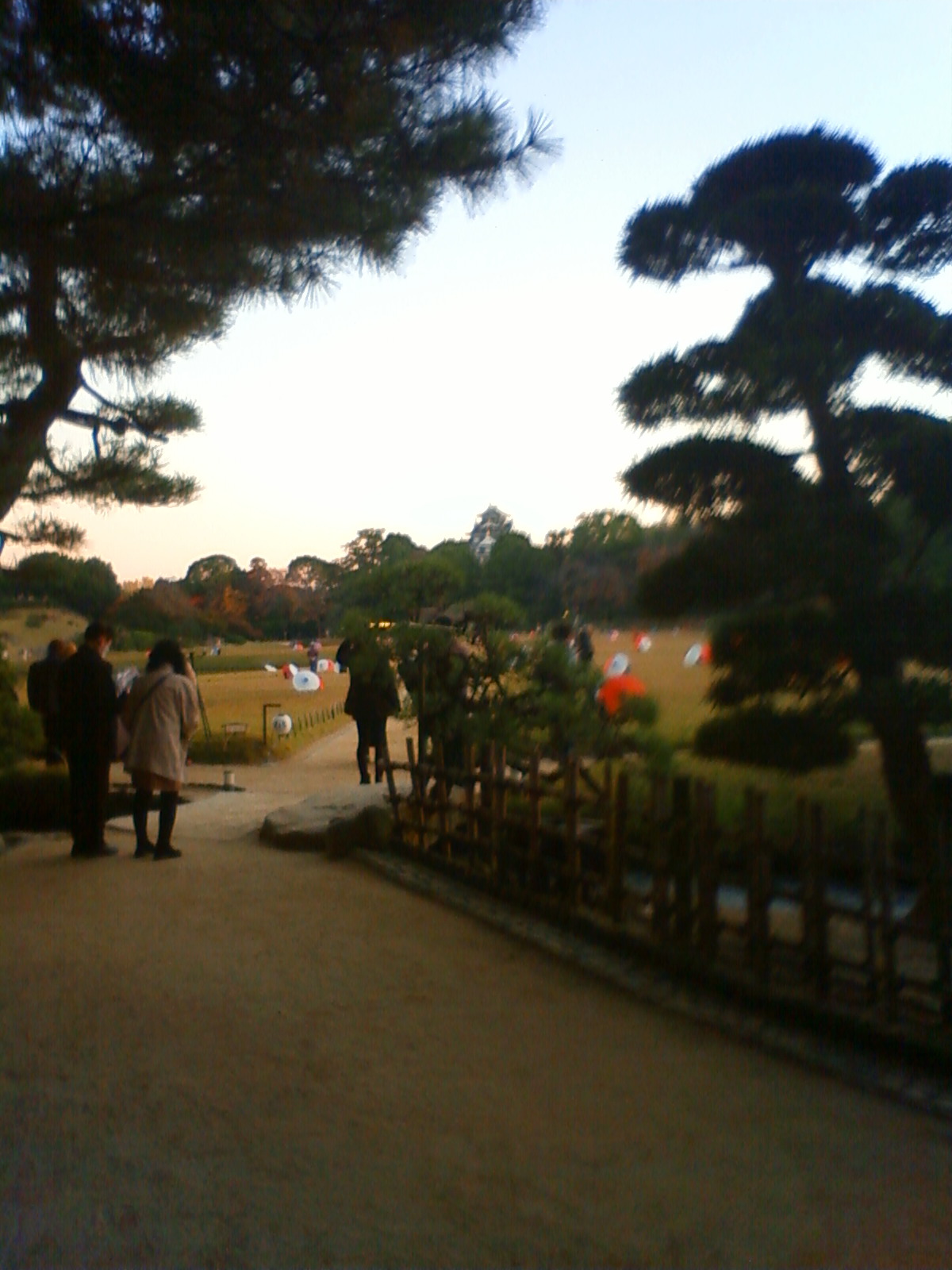 NEC_2588.JPG