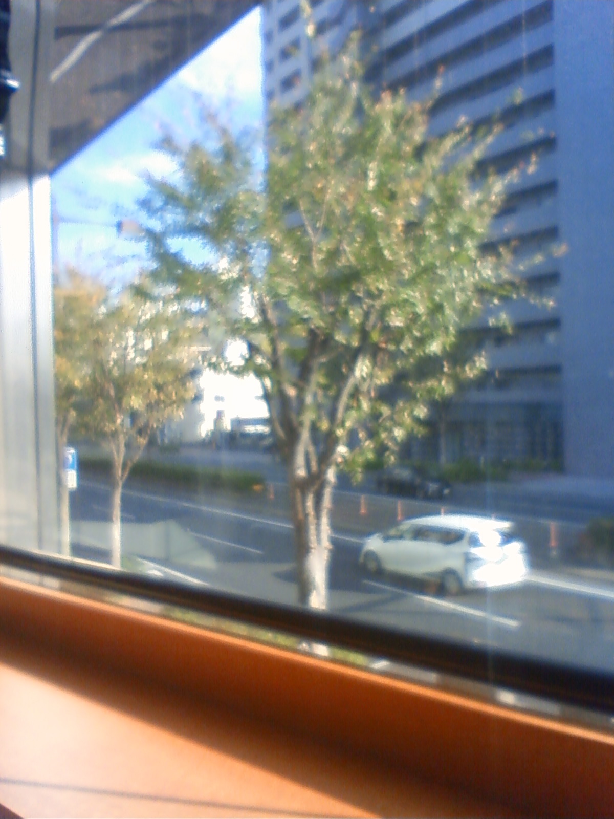 NEC_2593.JPG