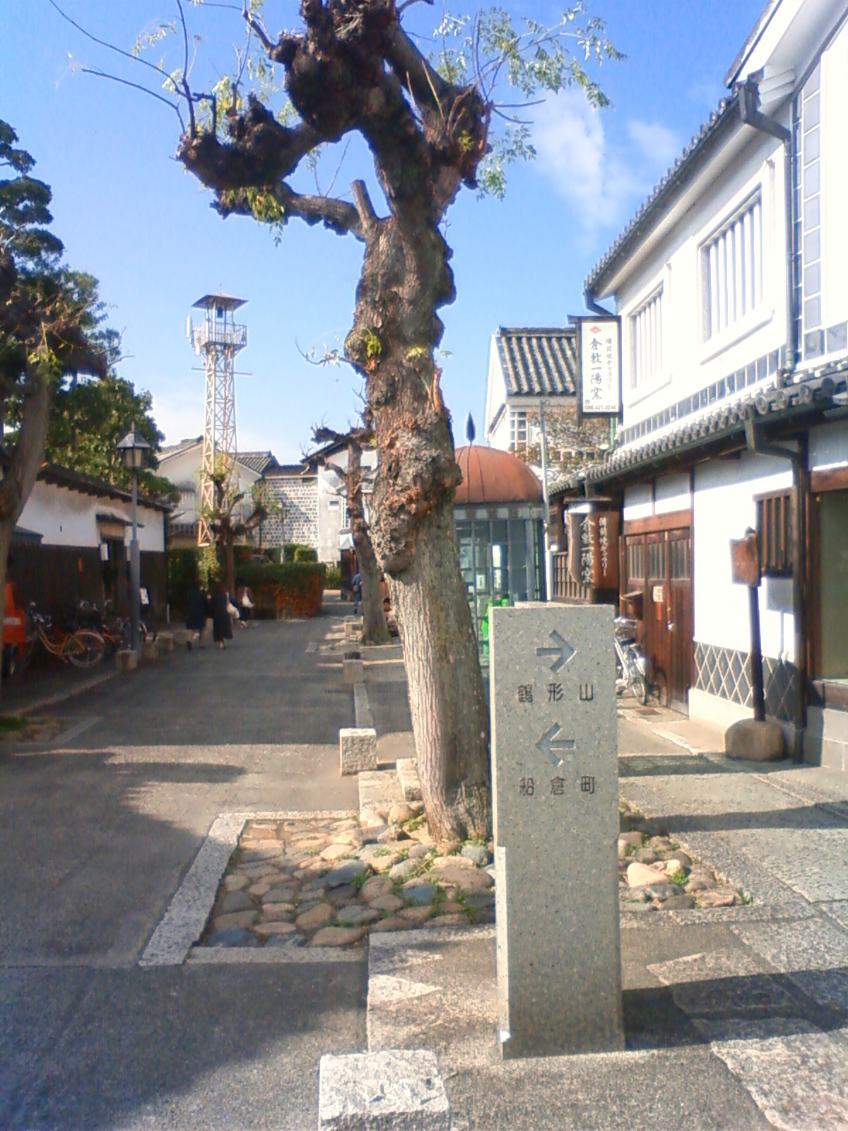 NEC_2609.JPG