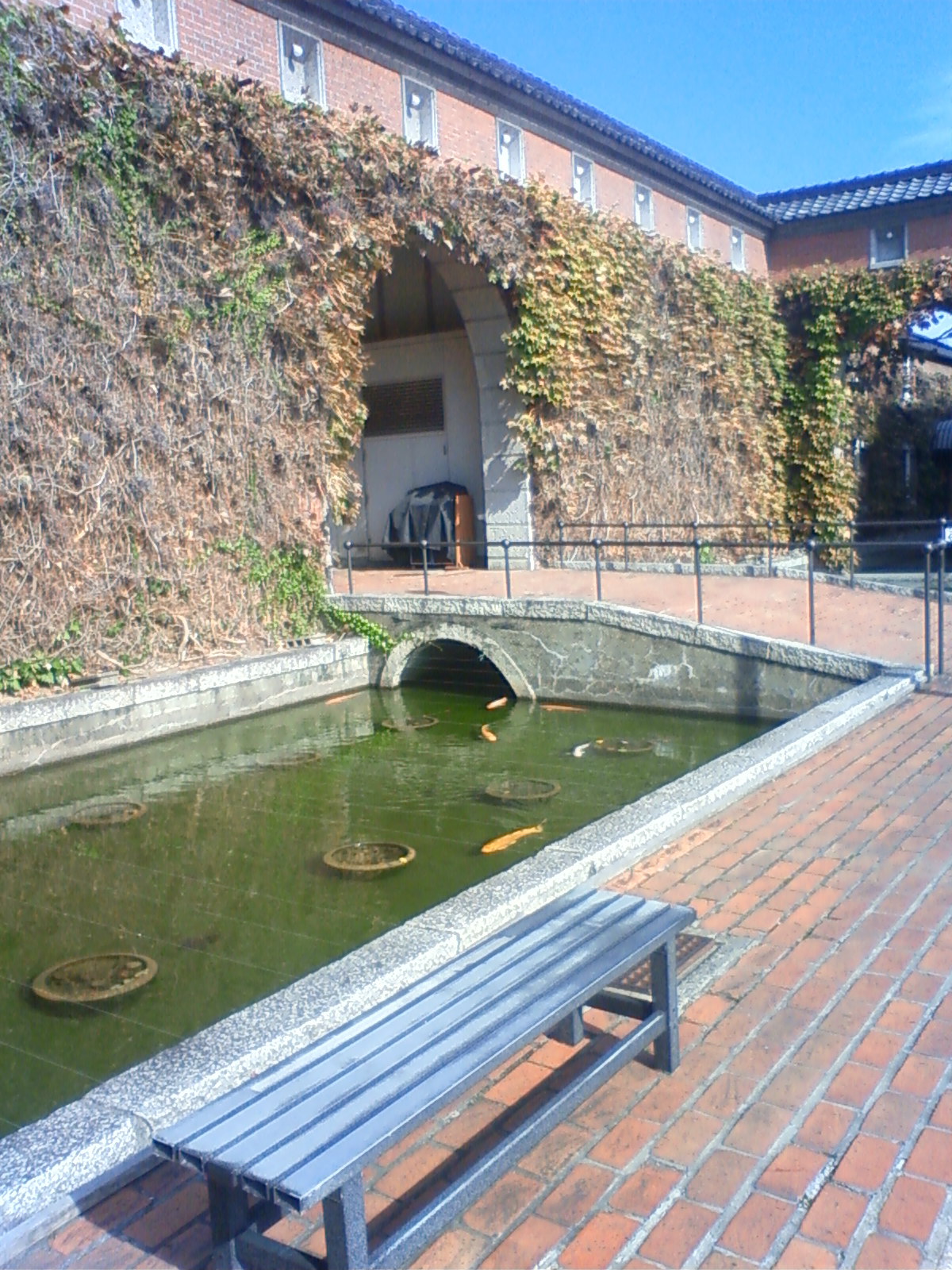 NEC_2616.JPG
