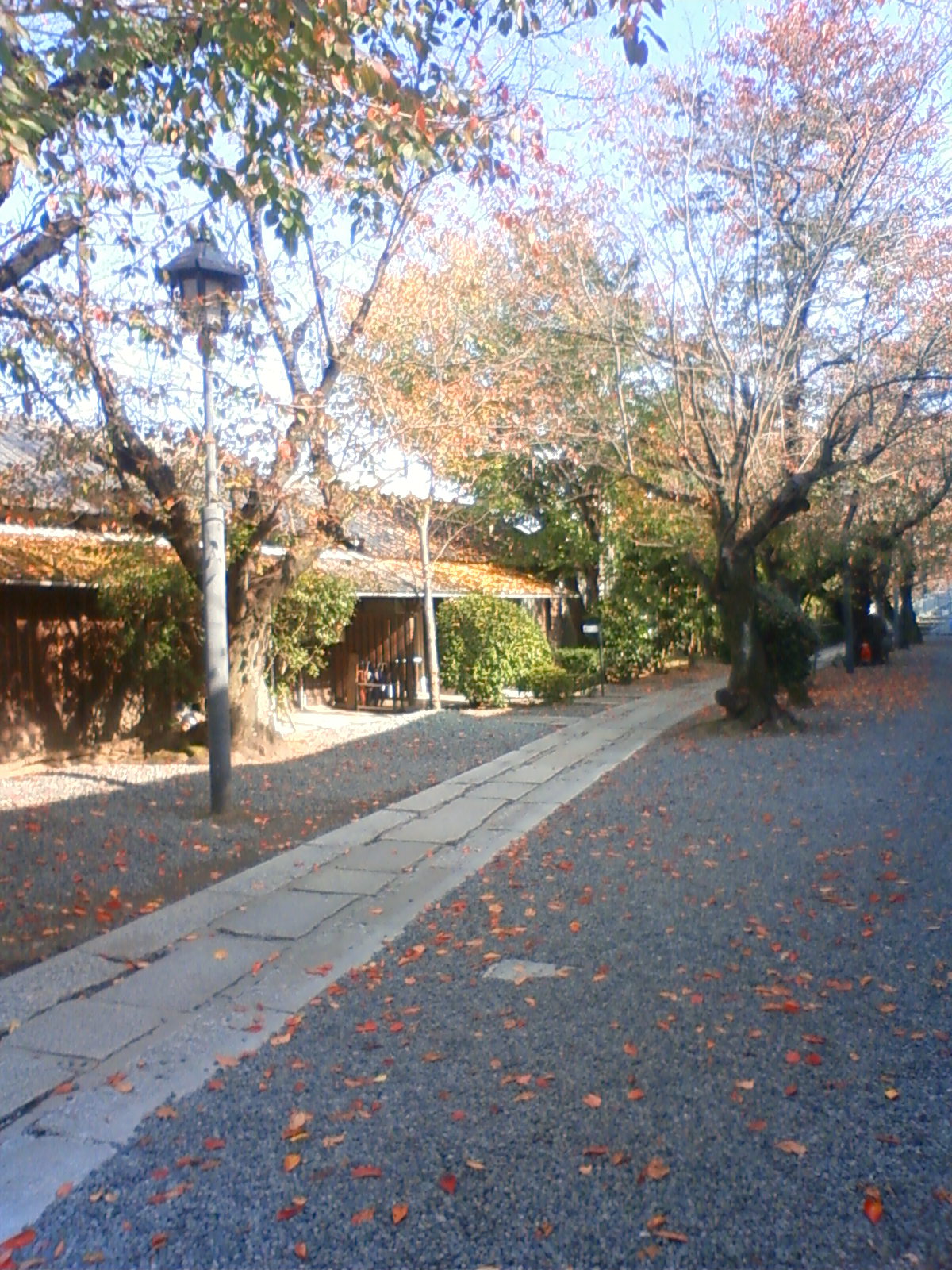 NEC_2617.JPG