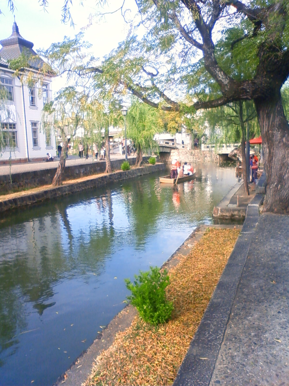 NEC_2618.JPG