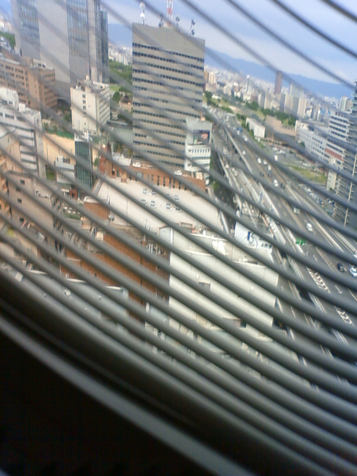 NEC_0444.JPG