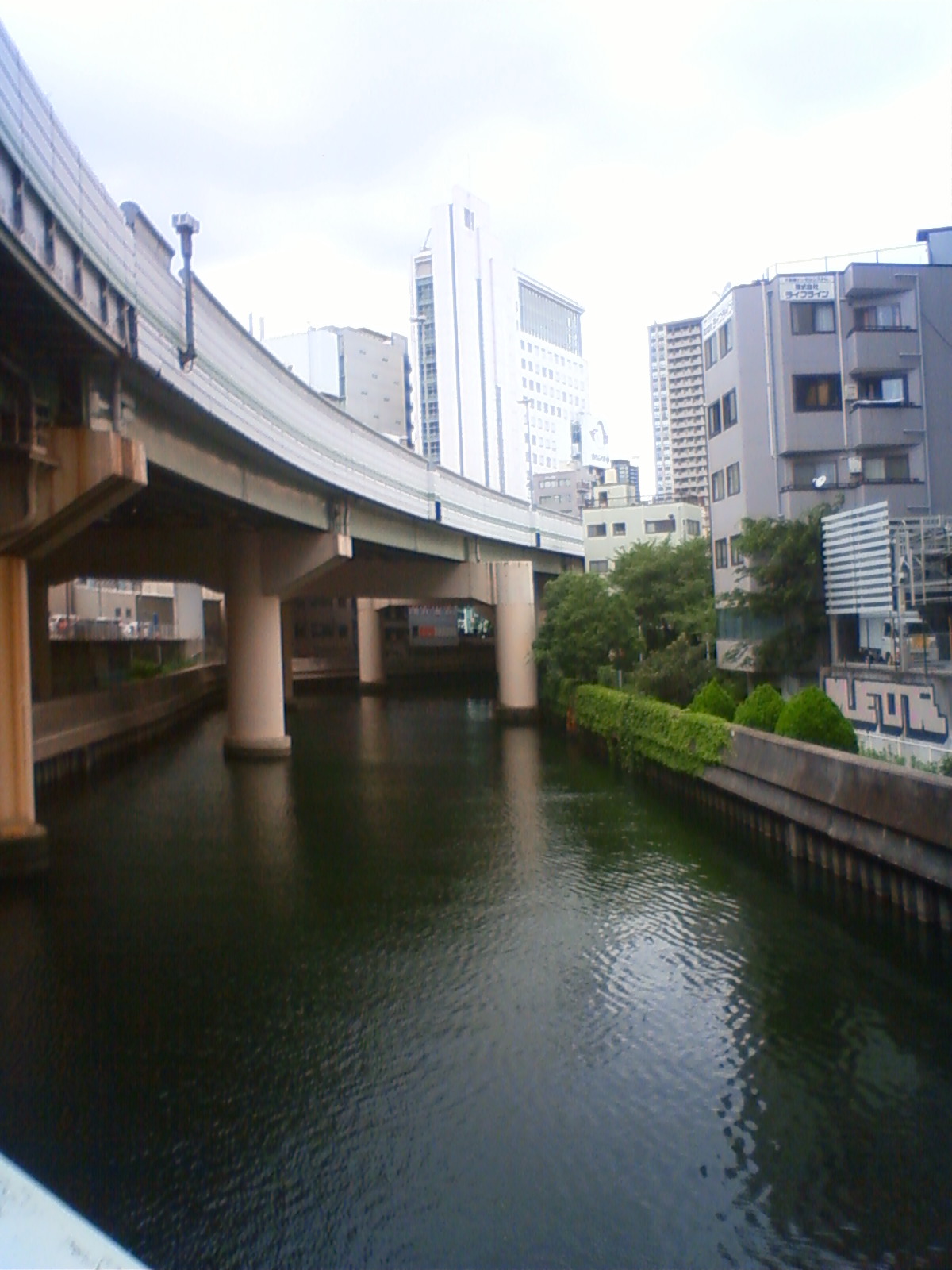 NEC_0445.JPG