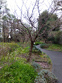 IMG_2024-03-24-11-03-56-924_thumb.png