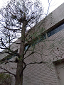 IMG_2024-03-24-11-06-01-890_thumb.png