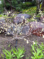 IMG_2024-03-24-11-14-13-461_thumb.png