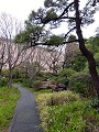 IMG_2024-03-24-11-18-05-751_thumb.png