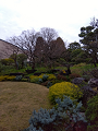 IMG_2024-03-24-11-22-54-945_thumb.png