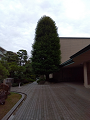 IMG_2024-03-24-11-27-03-824_thumb.png