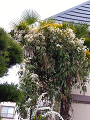 IMG_2024-03-24-11-36-09-668_thumb.png