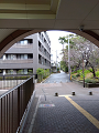IMG_2024-03-24-11-44-29-331_thumb.png