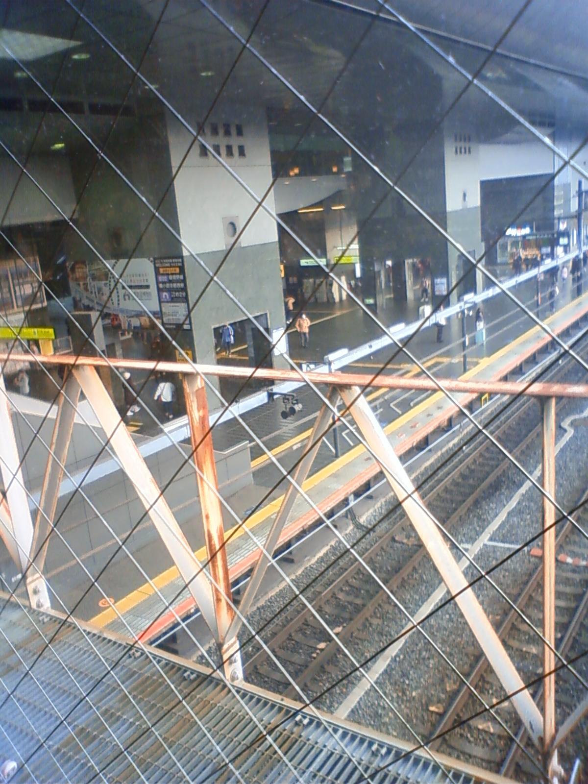 NEC_2766.JPG