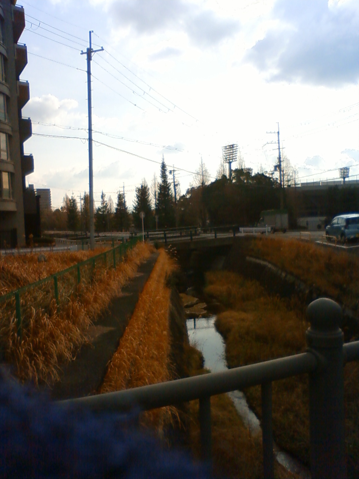 NEC_2773.JPG
