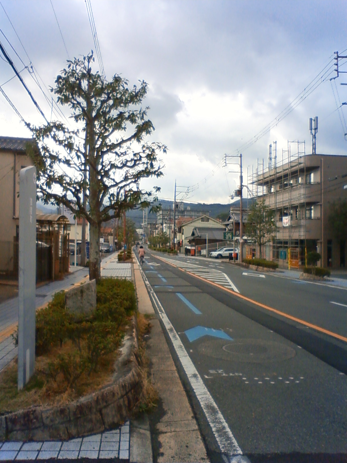 NEC_2776.JPG