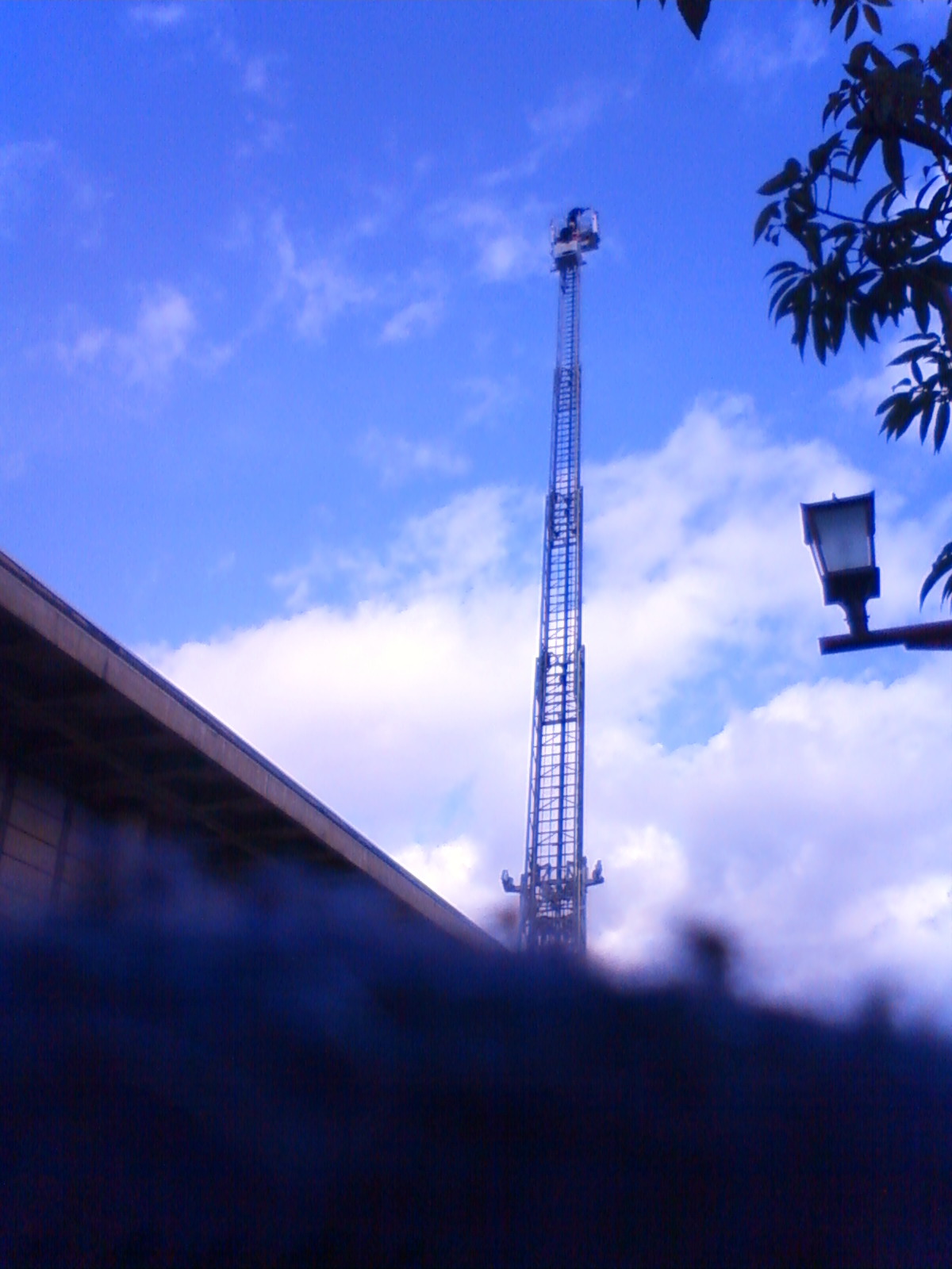 NEC_2779.JPG