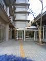 NEC_2780_thumb.png