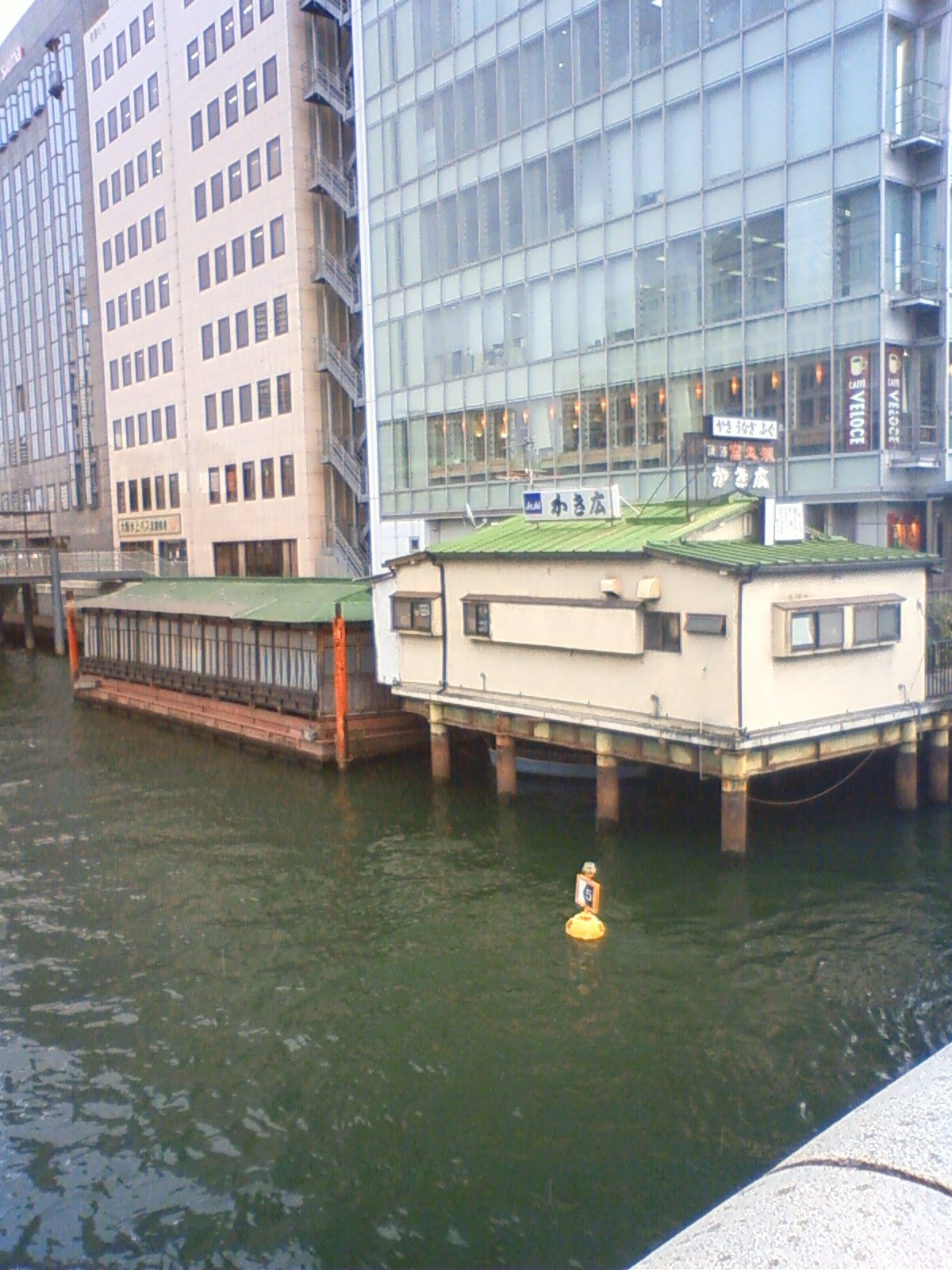 NEC_2795.JPG
