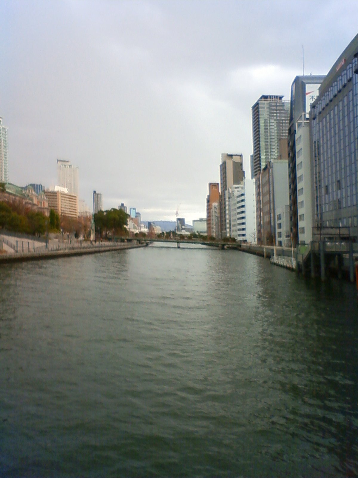 NEC_2796.JPG