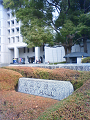 NEC_2797_thumb.png