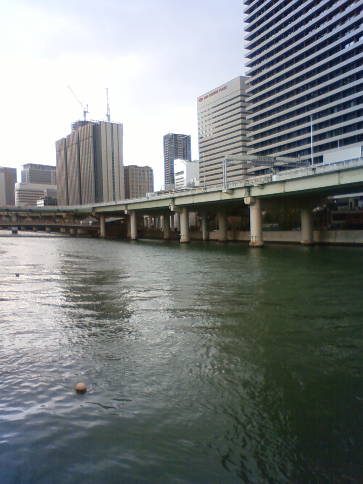 NEC_2800.JPG