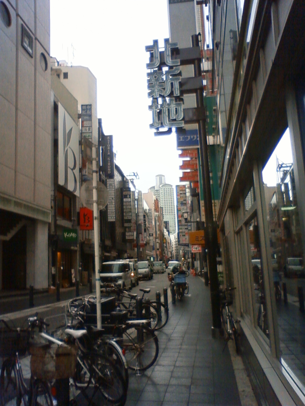 NEC_2802.JPG