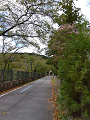 IMG_2023-08-31-11-24-49-807_thumb.png