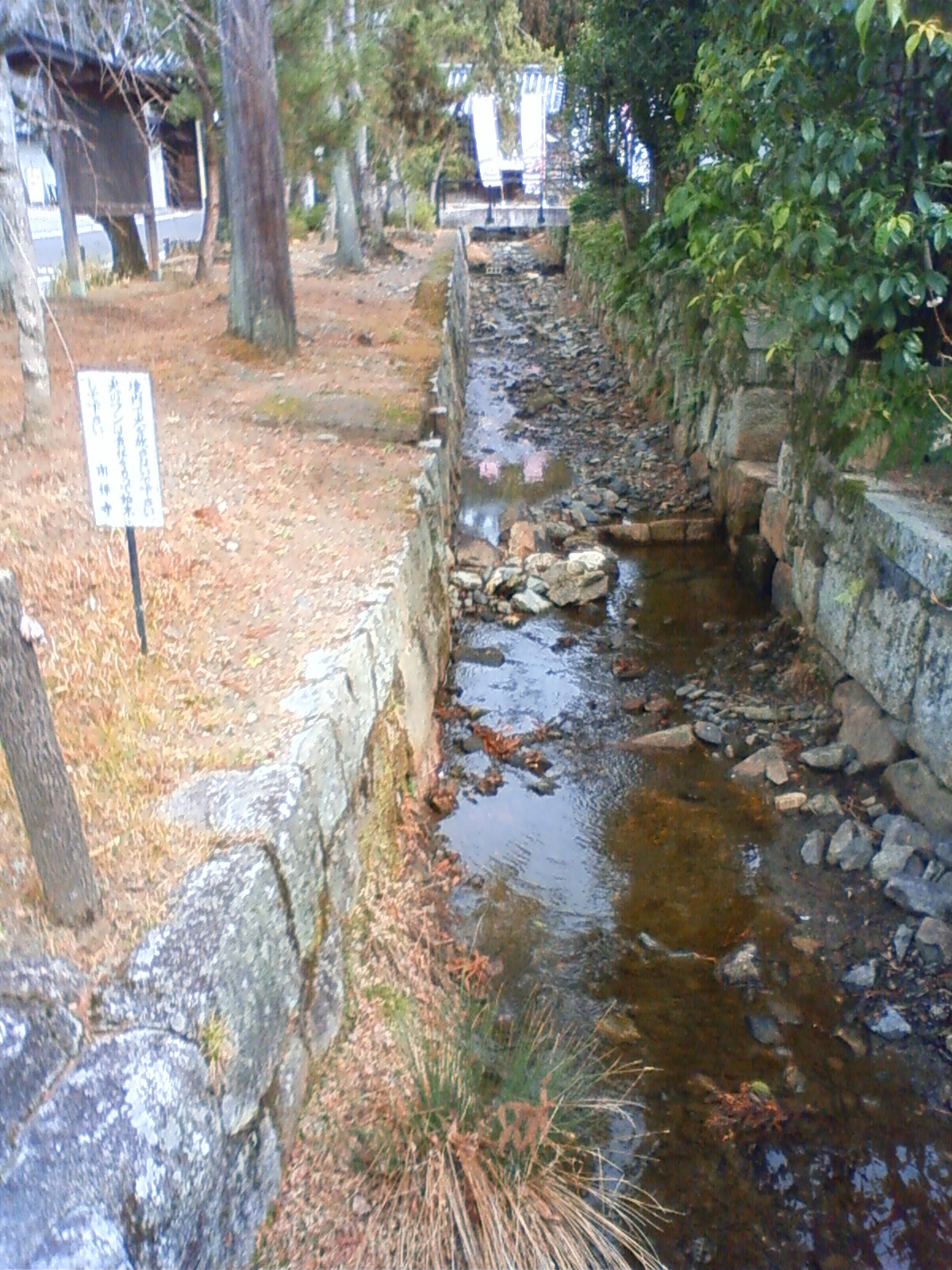 NEC_1861.JPG