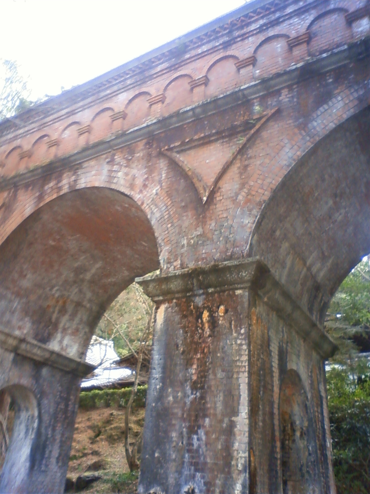 NEC_1883.JPG