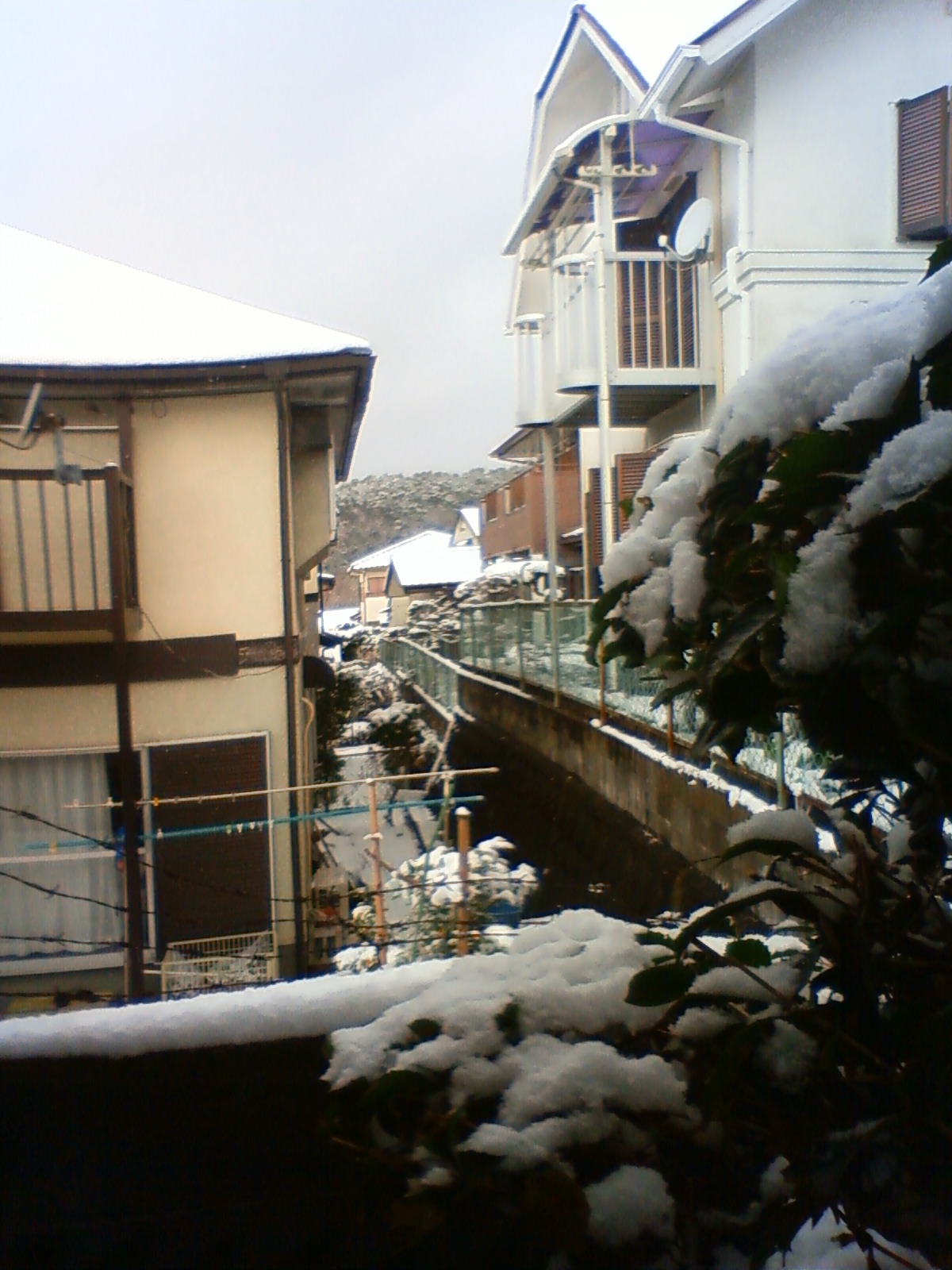 NEC_0077.JPG