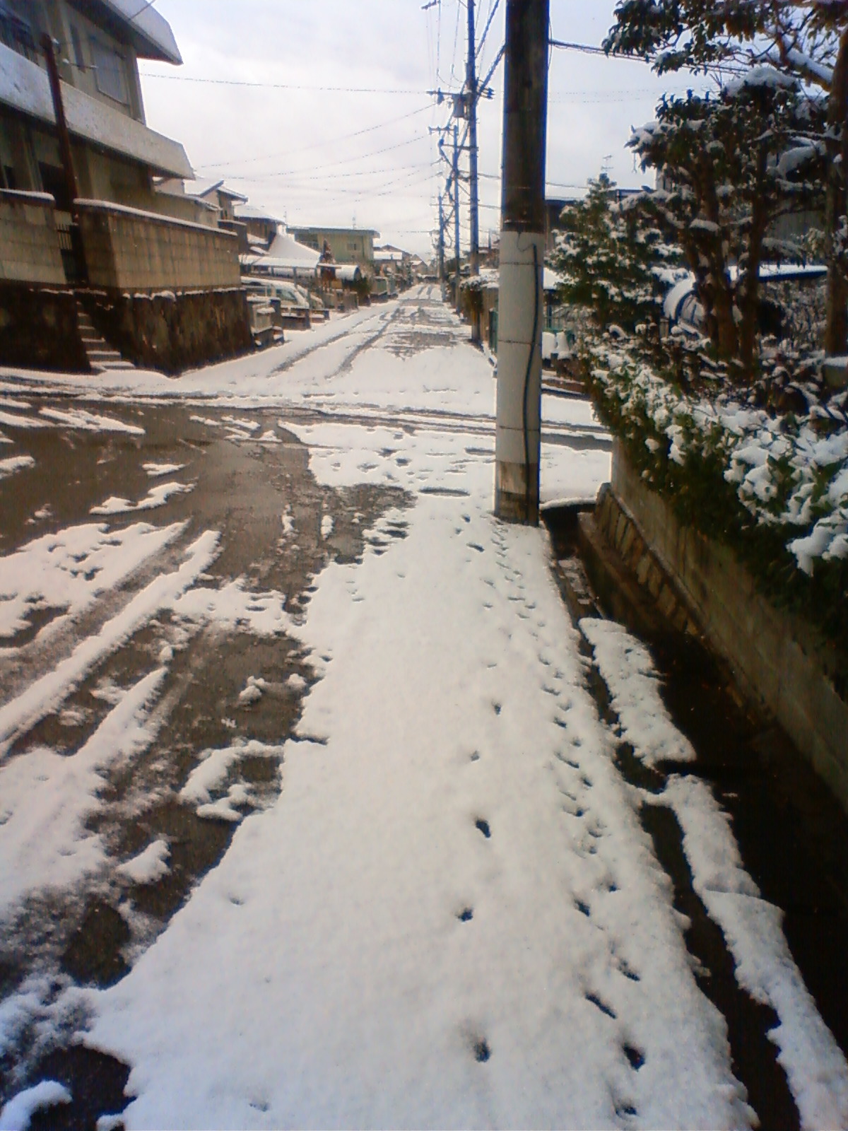 NEC_0078.JPG