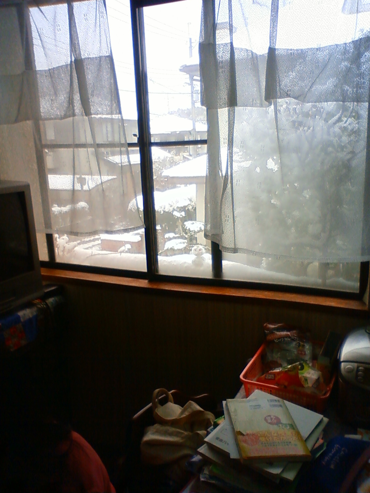 NEC_0079.JPG