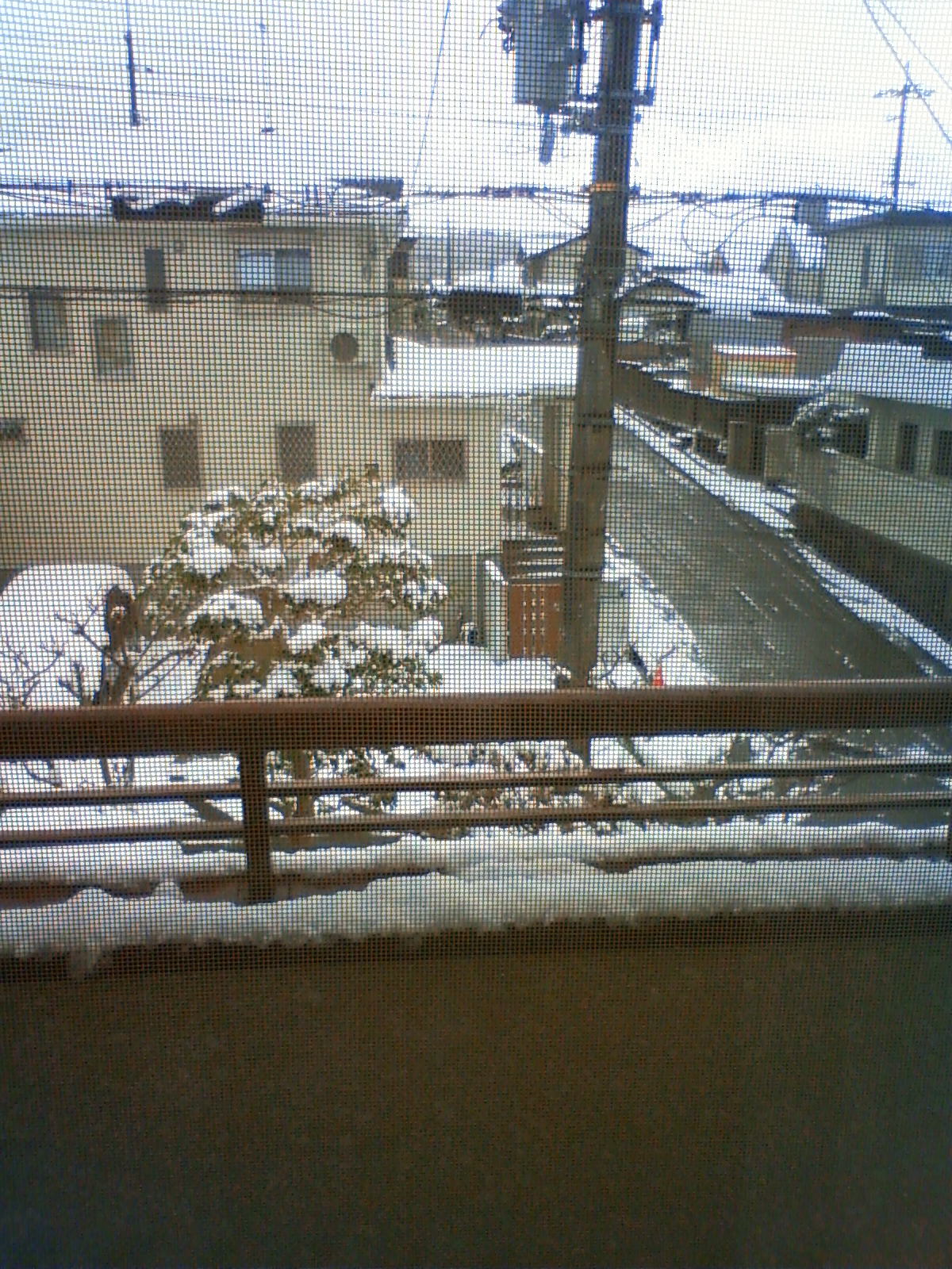 NEC_0085.JPG