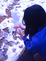 NEC_0092_thumb.png
