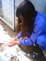 NEC_0093_thumb.png