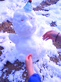 NEC_0095_thumb.png