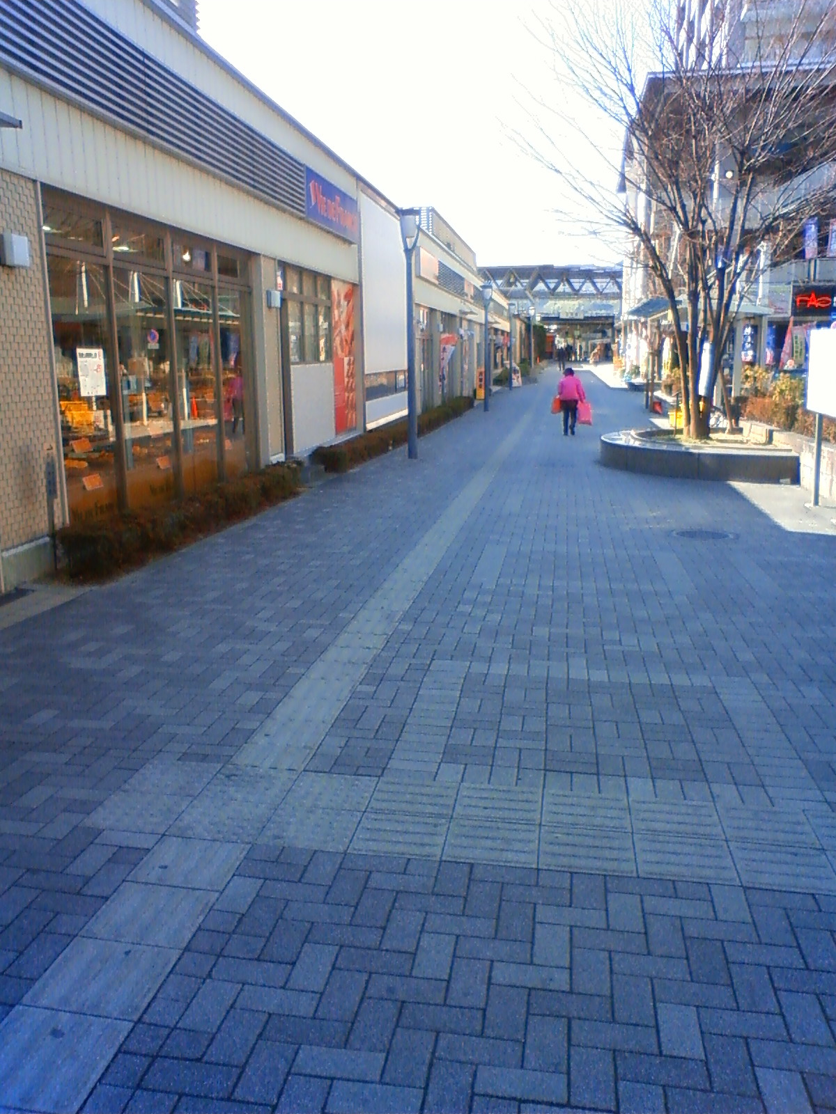 NEC_0505.JPG