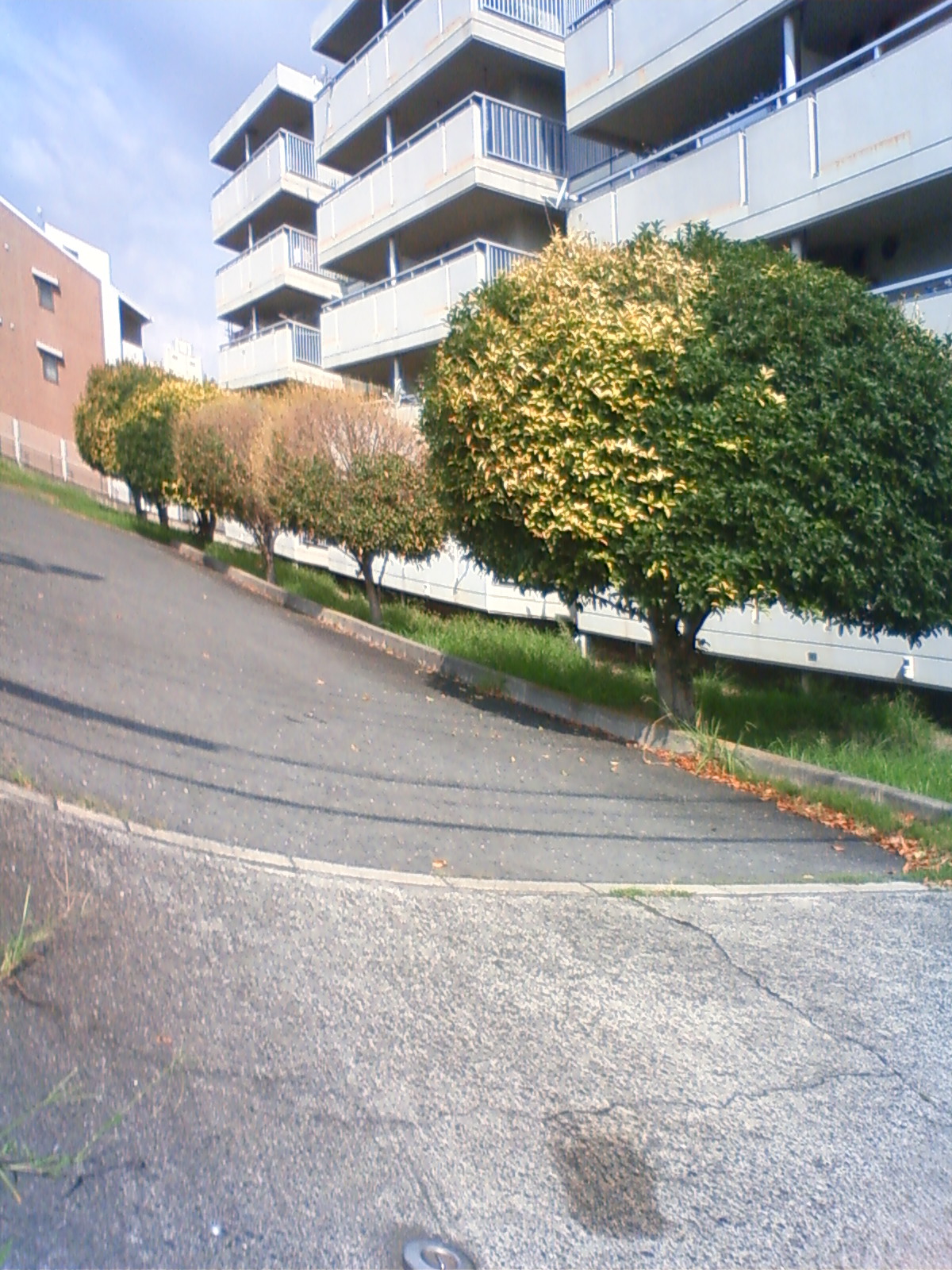 NEC_2449.JPG