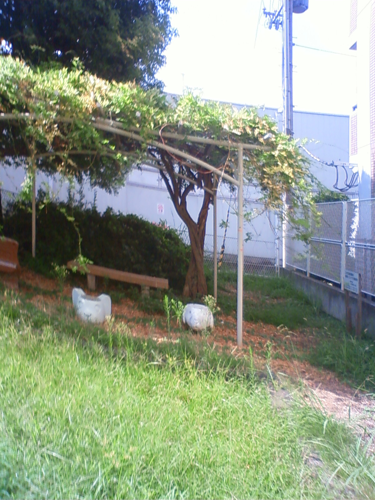 NEC_2455.JPG