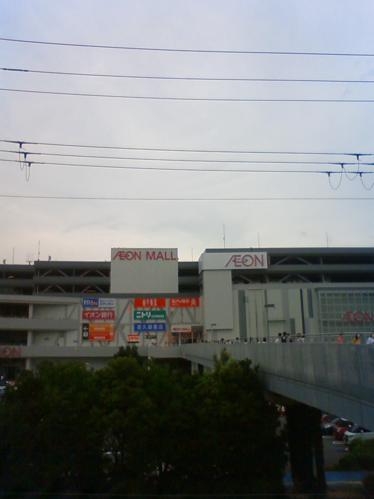 NEC_2501.JPG