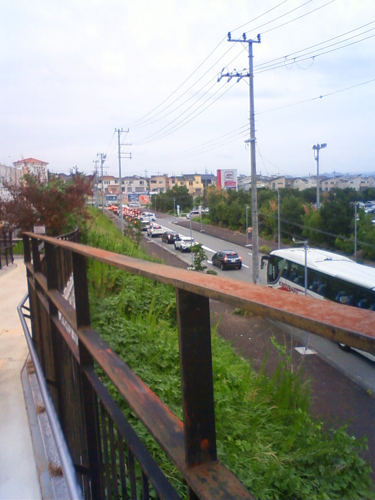 NEC_2502.JPG