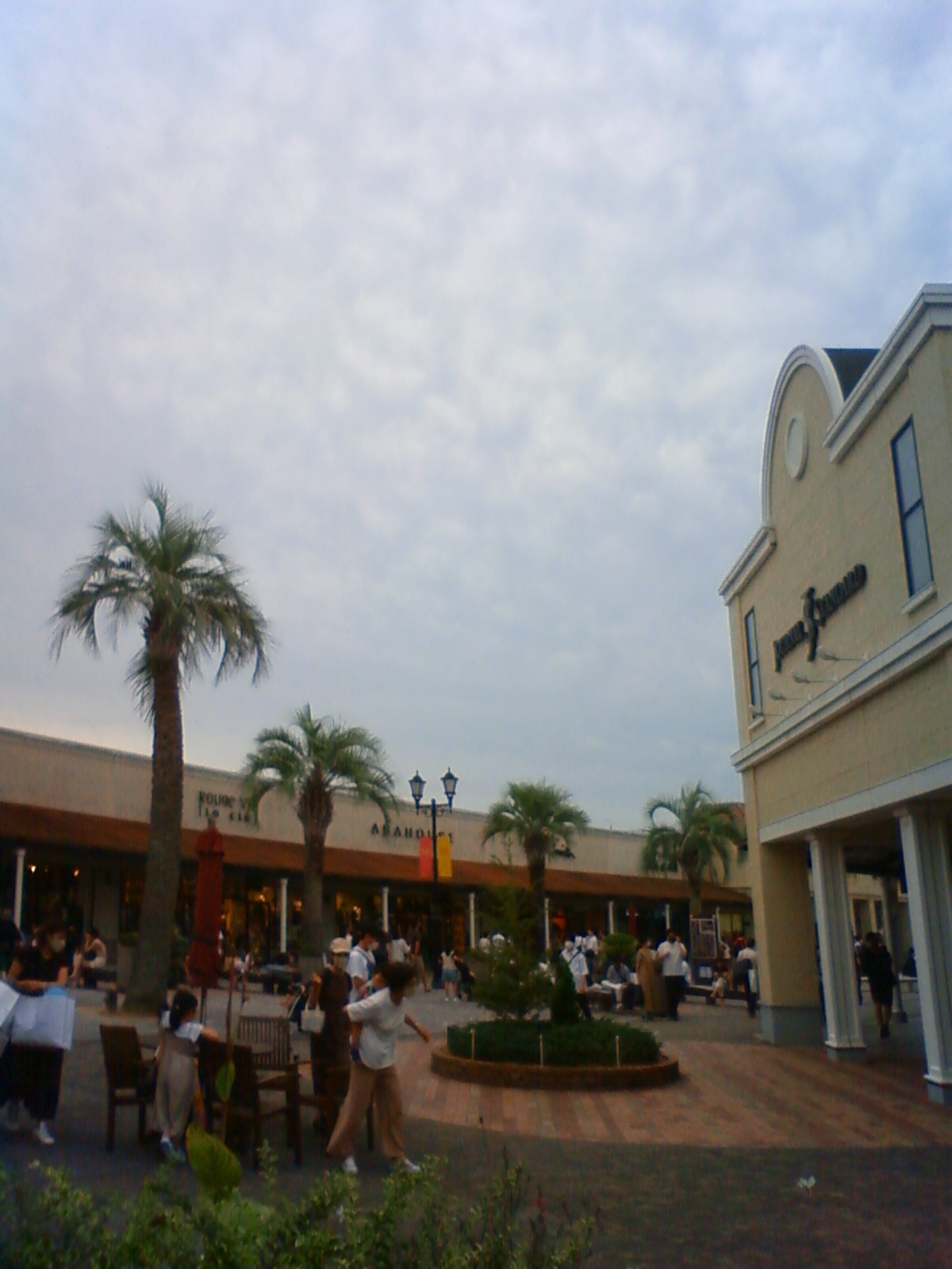 NEC_2503.JPG
