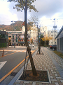 NEC_1542_thumb.png