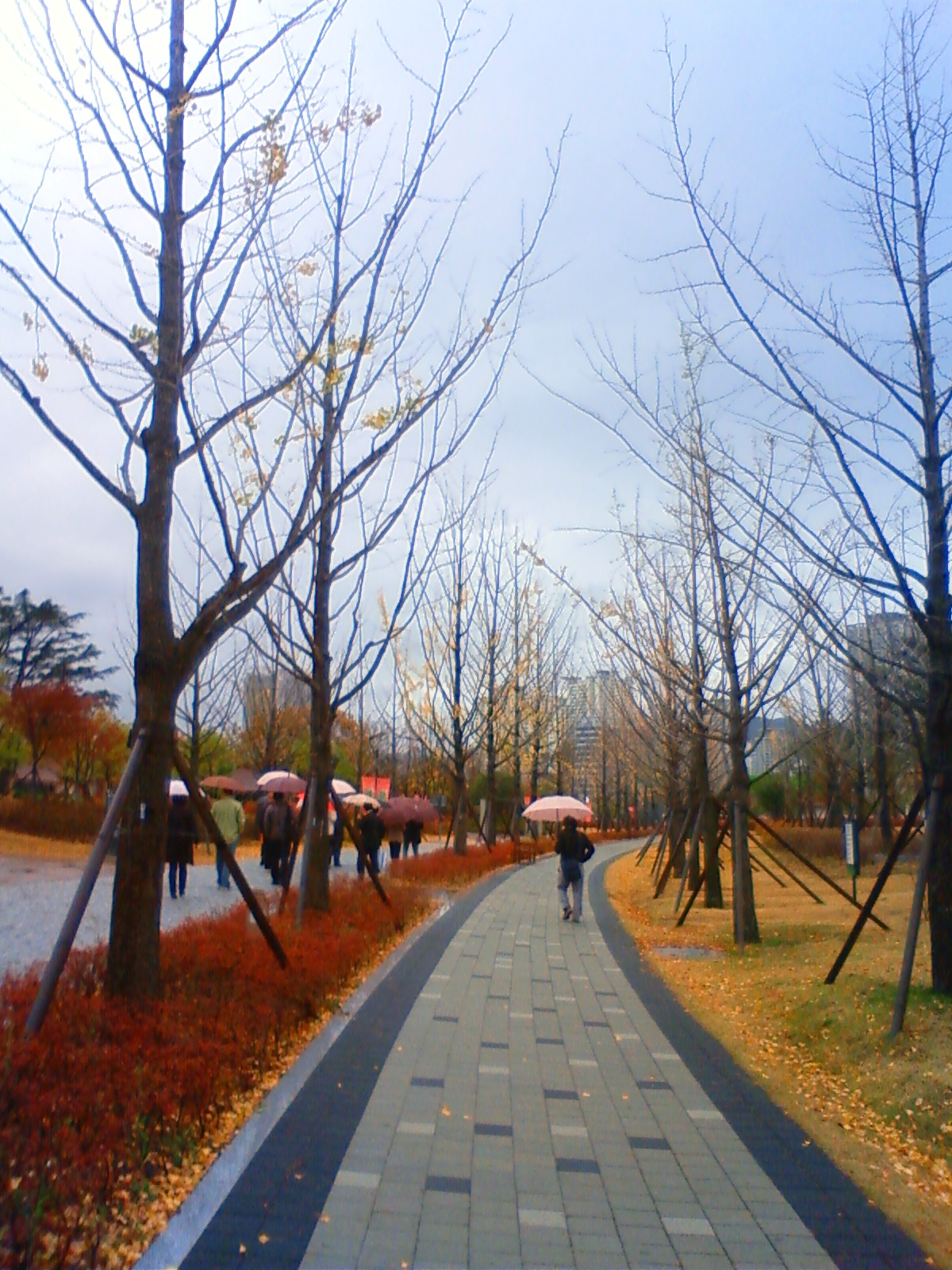 NEC_1568.JPG